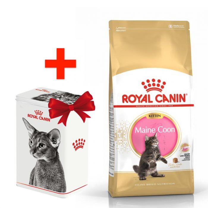 Акція сухий корм Royal Canin Mainecoon Kitten 2кг + контейнер-корм для кошенят породи Мейн-кун 