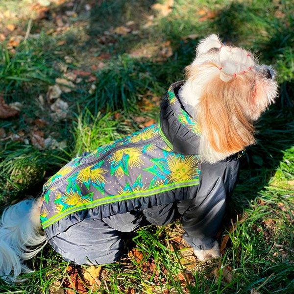 Комбінезон Грейсі велсофт (дівчинка) S1