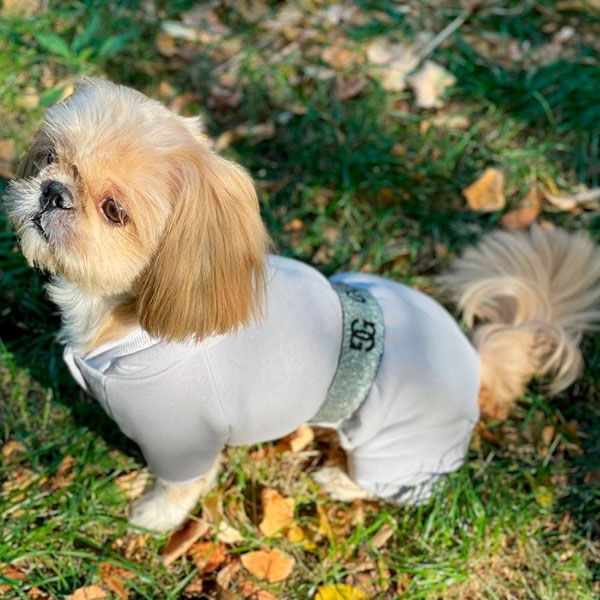 Комбінезон Гучик трикотаж на флісі (хлопчик) XS