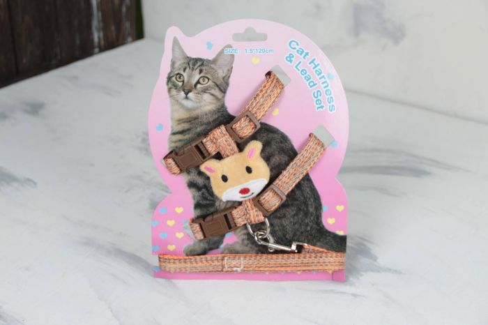 Комплект Хомячок, шлея з повідцем для кішки помаранчева Обєм грудей 29-43 см