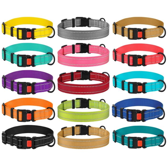 Ошейник для собак BronzeDog бирюза пластиковий фастекс 1225 50Т 25мм (43-66см)