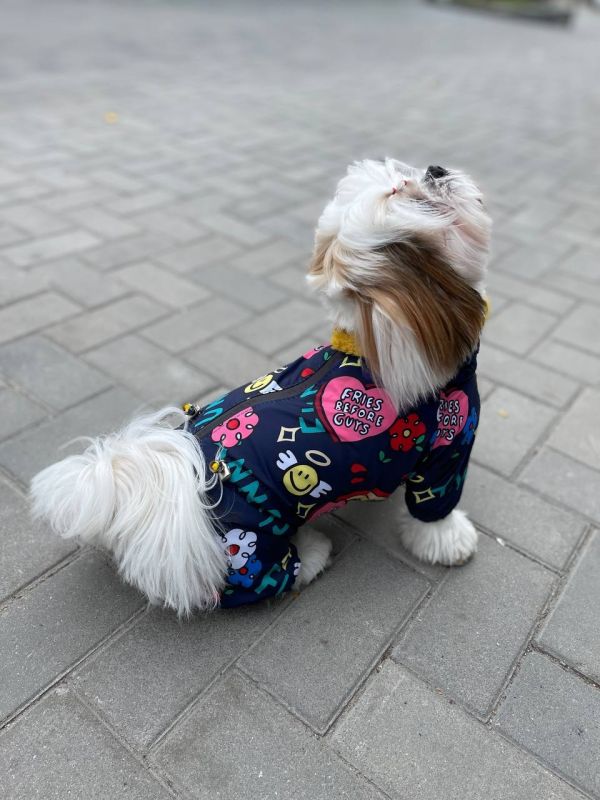 Ляля комбінезон на овчині без силікону для собак дівчаток XS