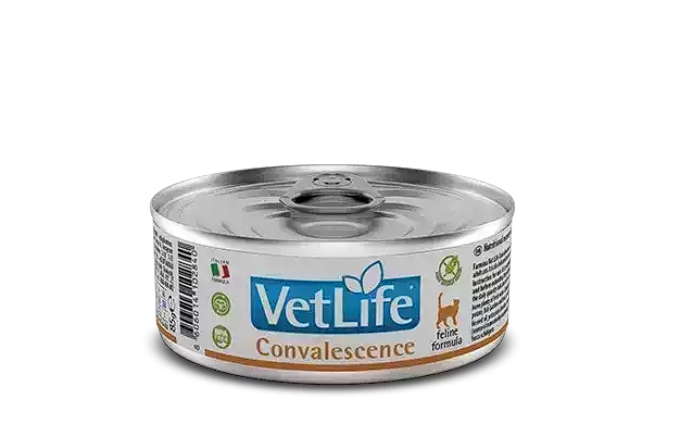 Вологий корм Farmina Vet Life Convalescence для котів для відновлення, 85 г   Фарміна кет волог Vet Life Convalescence дієт. харчування, 85 г 02840