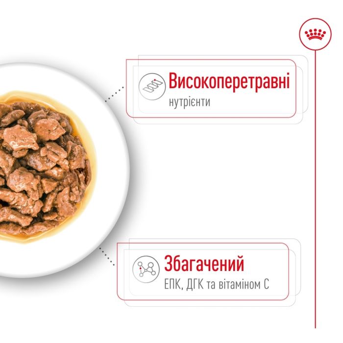 АКЦІЯ Royal Canin X-small Adult in gravy вологий корм для дорослих собак мініатюрних розмірів 85 гр 