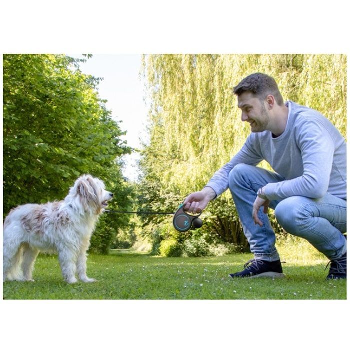 Рулетка Flexi (Флекси) design М 25кг5м стрічка Трояндовий