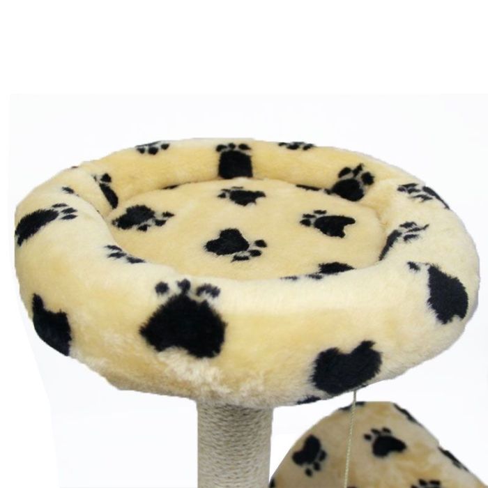 Когтеточка Соня 