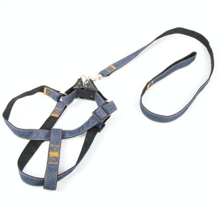 Шлея з повідцем комплект для собак 2, 5х16-26120 см стрічка джинсова 