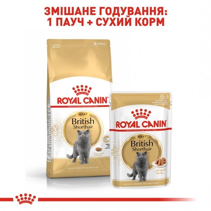 АКЦІЯ Royal Canin British shorthair корм для кішок британська короткошерста 2 кг+ 4 паучі 