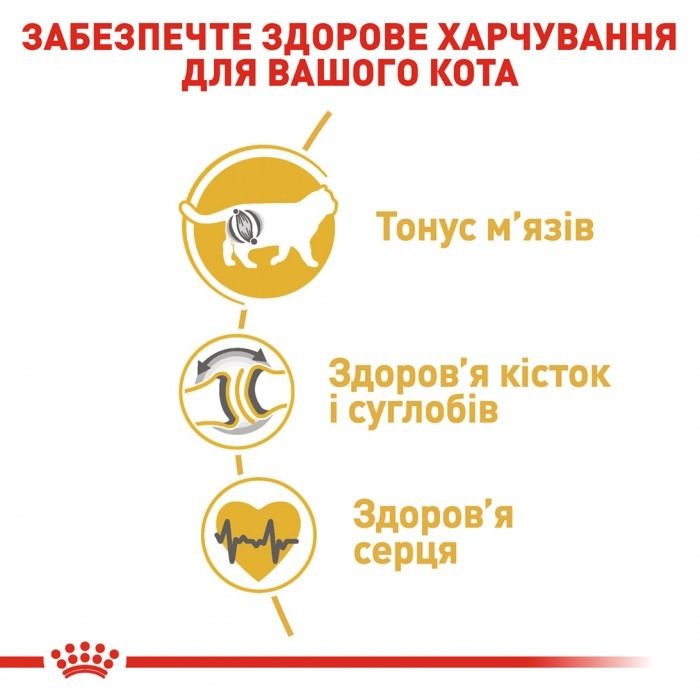 АКЦІЯ Royal Canin British shorthair корм для кішок британська короткошерста 2 кг+ 4 паучі 