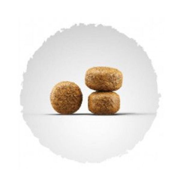 Josera Balance для малоактивних і літніх собак 15кг