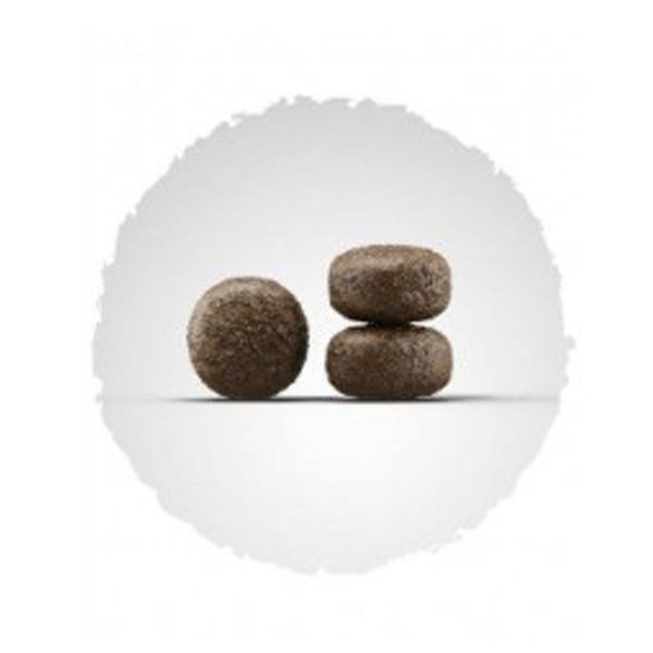 Josera Lamm  Reis сухий корм для собак з ягням і рисом 900г