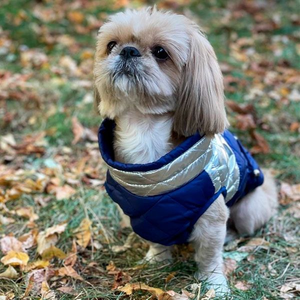 Жилет Нільс стьобаний силікон (хлопчик) М