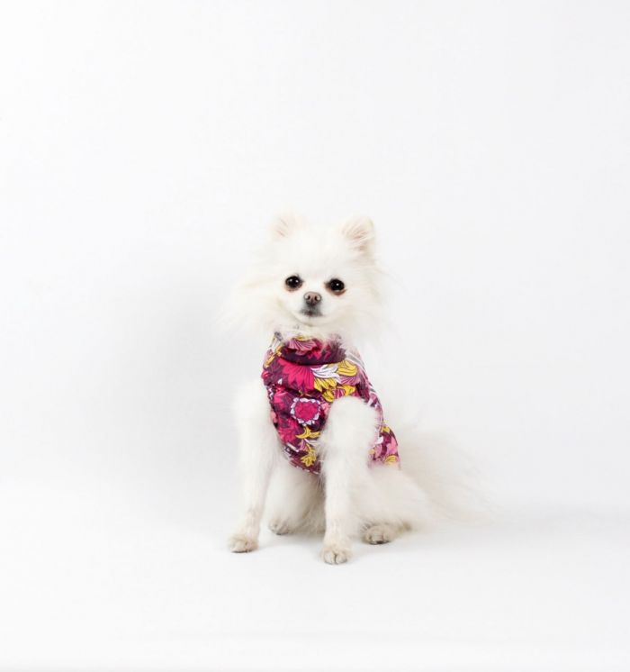 Набір Фрезія жилет силікон + комбінезон велсофт бордо (дівчинка) S