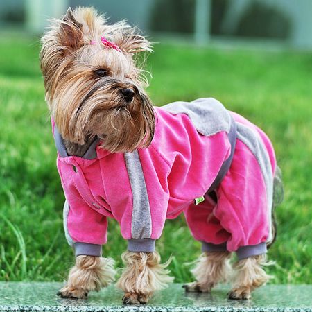 Комбінезон Лапка для дівчаток велюр комбінезон Лапка для дівчаток велюр