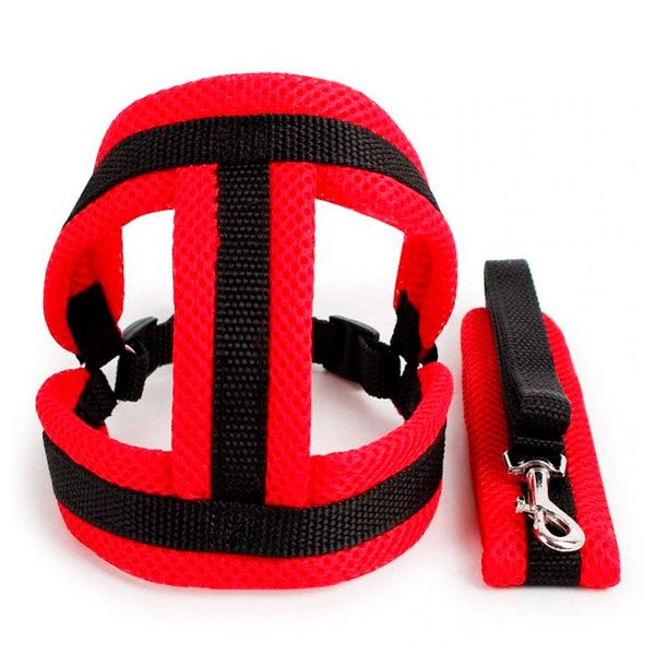 Шлея сітка і поводок, М (438-48120 см) Червоно-чорний