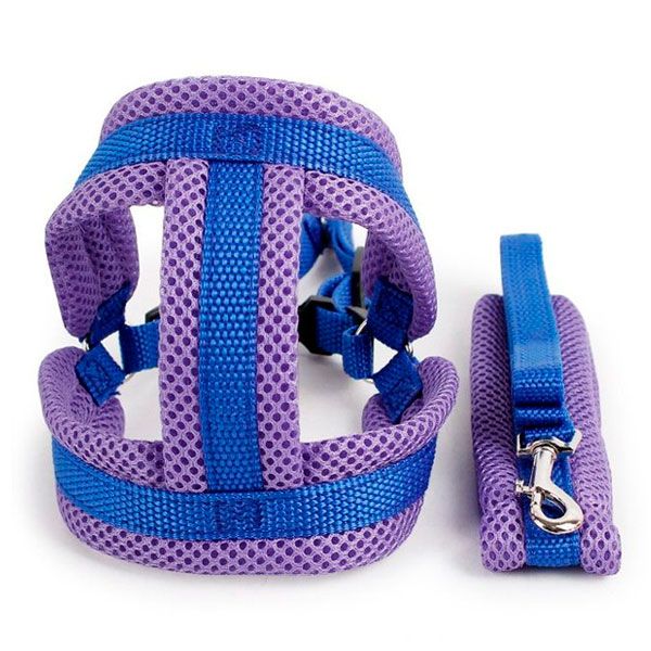 Шлея сітка і поводок, L(550-60120 см) Фіолетово-синій