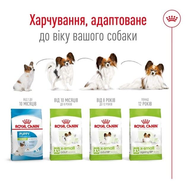 АКЦІЯ Royal Canin X-Small Adult сухий корм для дорослих собак дуже дрібних розмірів 3 кг + миска 