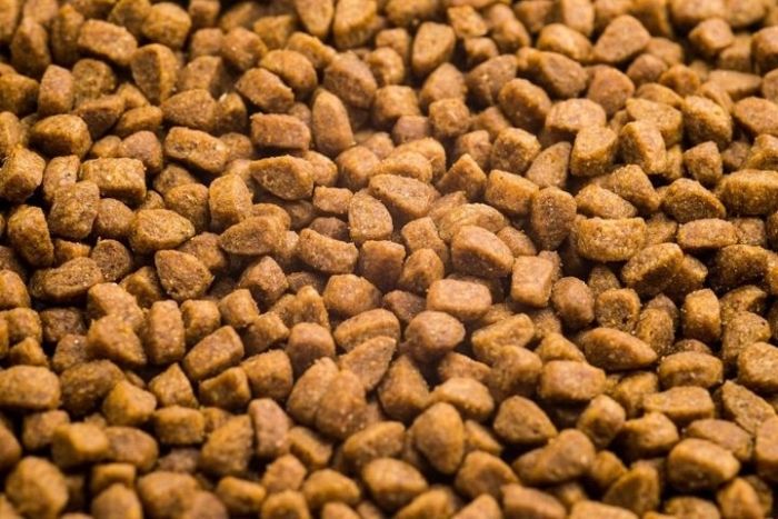 Акція Club 4 paws (Клуб 4 лапи) Корм для котів з лососем  14кг (-15)