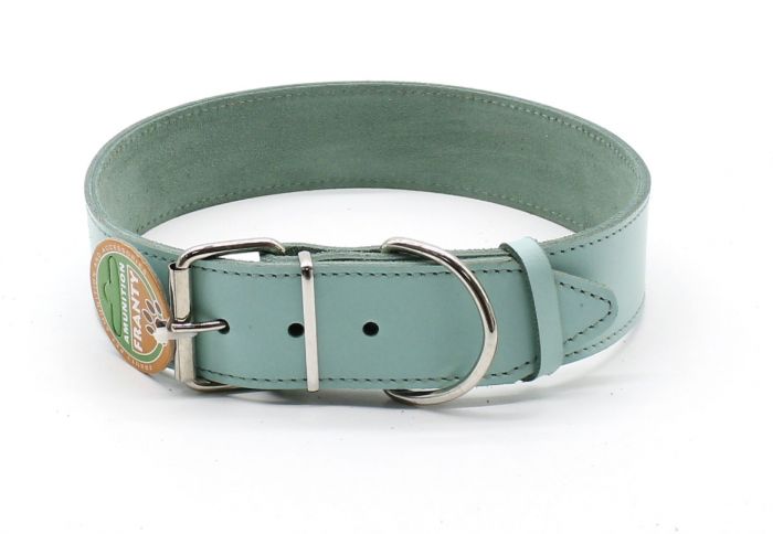 Нашийник Franty Style шкіра, 45 мм х 56-66 см аквамарин