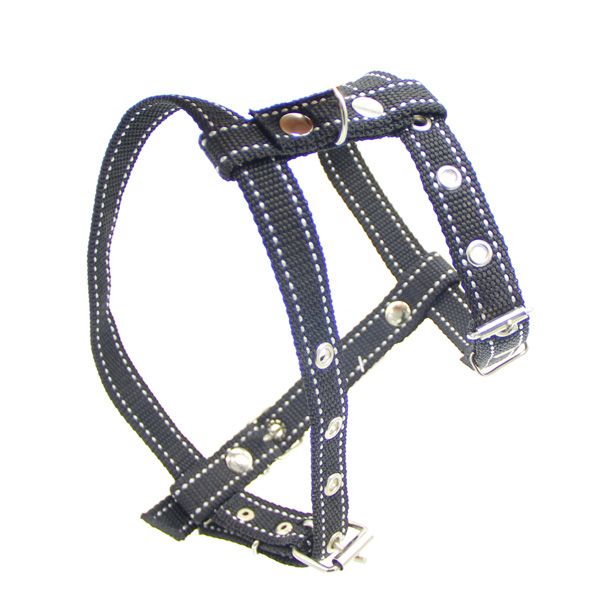 Шлея економ капронова одинарна чорна 20 мм Фауна 