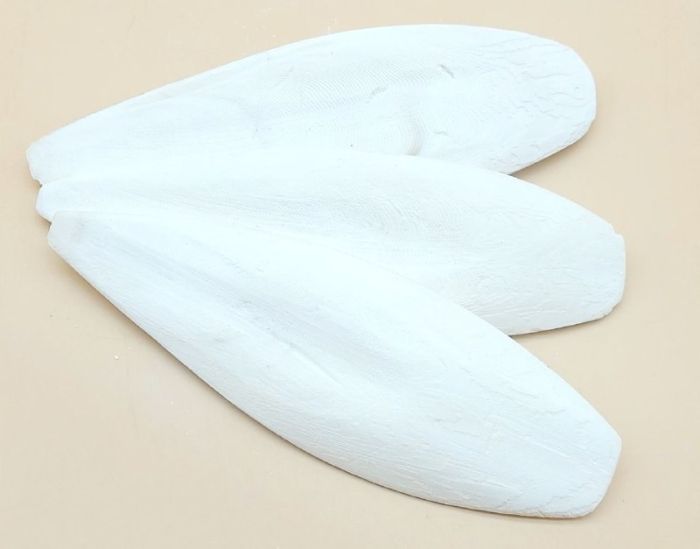 Сепія 17 - 20 см 