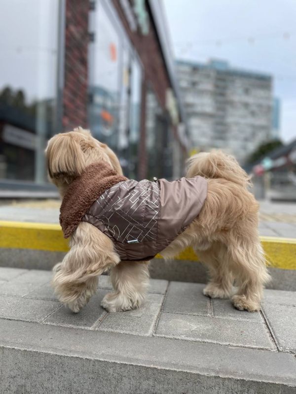 Хакі комбінезон для собак хлопчиків на силіконі XS