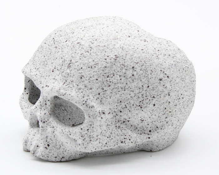 Череп 988 см (AS1501G) 