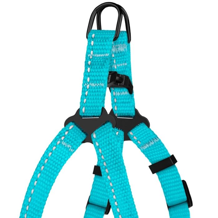 Шлея для собак Bronze Dog блакитна Пластикова фастекс 1222 68Т 10мм (24-30см)