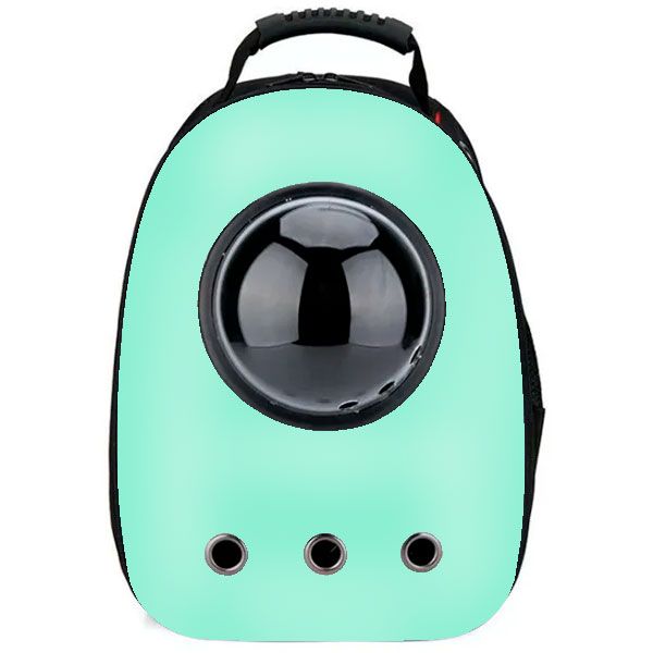 Рюкзак пластик ілюмінатор 32х42х29 см мята 32х42х29 см