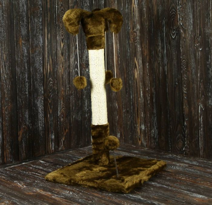 Когтеточка Арлекін, сизаль трояндовий