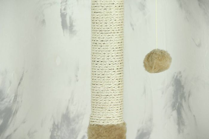 Когтеточка Гном, сизаль зелений