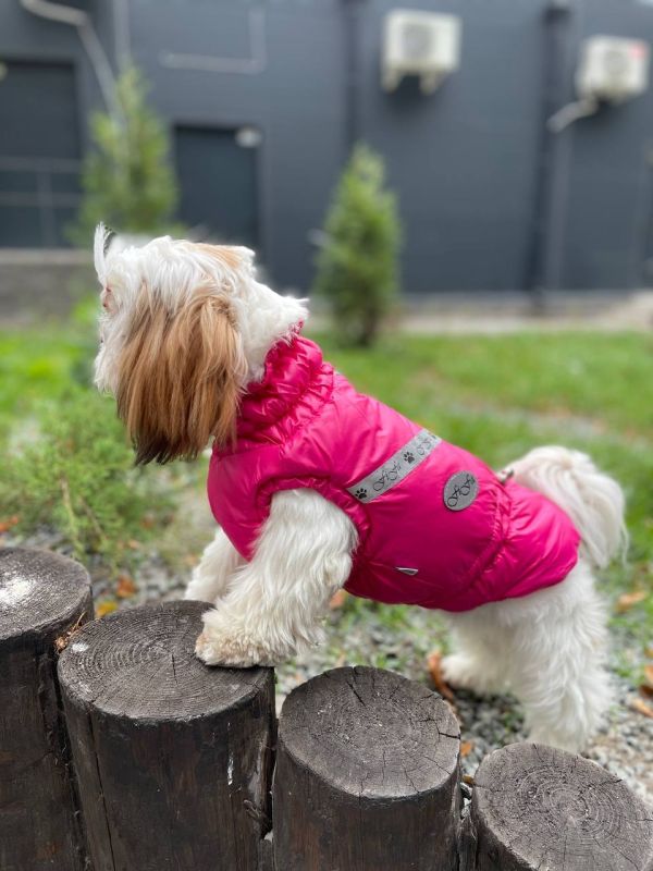 Класика жилет для собак дівчаток на силіконі XS