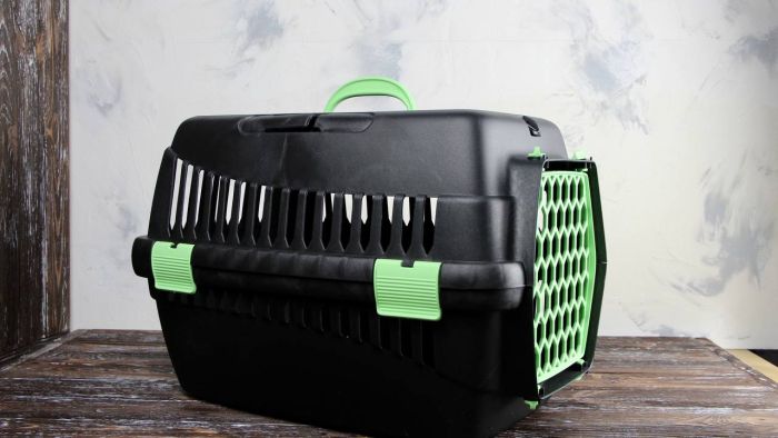 Переноска для тварин чорна пластик салатові двері 55х39х36 см до 8 кг