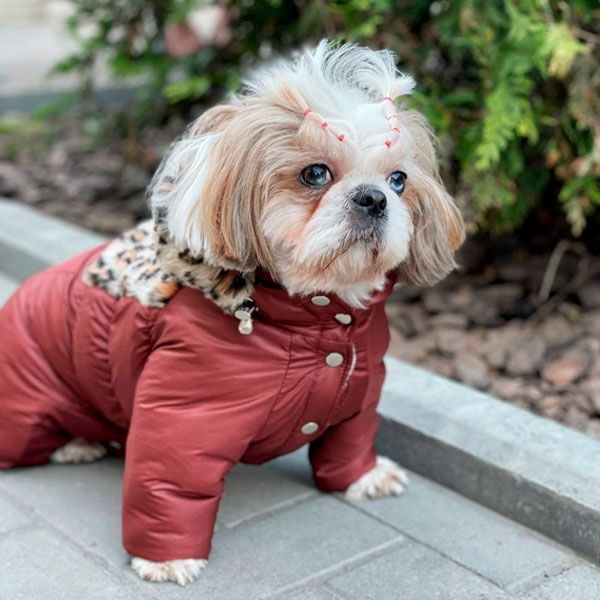 Гарнюня комбінезон для собак дівчаток на силіконі хутро M