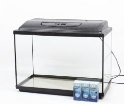 Комплект Акваріум прямий + Кришка LED + ПІддон + Подарунок 60 л. (503040)