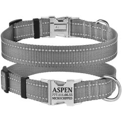Нашийник для собак BronzeDog 16 мм (25-33 см) Сірий Металевий фастекс 1311 32Т 