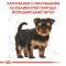 АКЦІЯ Royal Canin Yorkshire Puppy Набір корму для цуценят йоркширський терєр 1,5 кг+ 4 паучі 