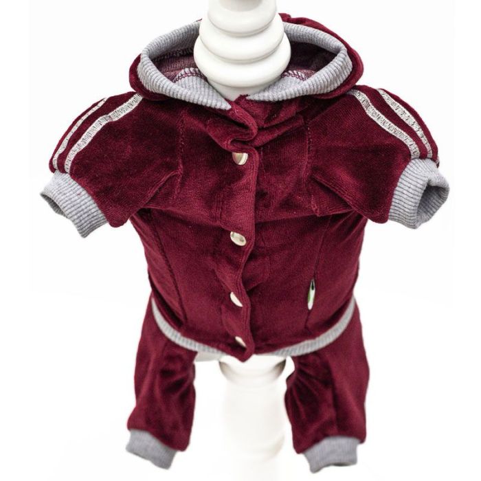 Instagram комбінезон для собак дівчаток велюр S1