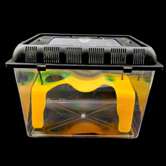 Тераріум пластиковий прямокутний розмір 322023