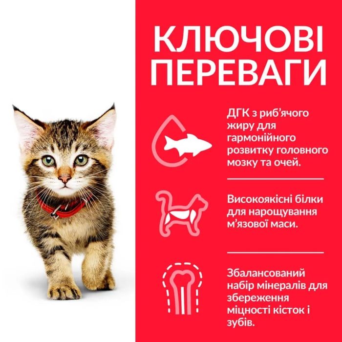 АКЦІЯ 1+2 Hills Science Plan Kitten сухий корм для кошенят та котів у період вагітності 300 г 