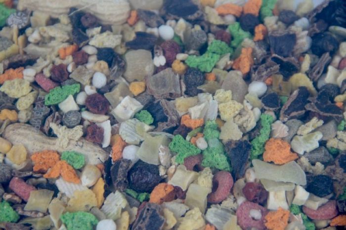 Корм для гризунів і кроликів Екзотичний 1,4 кг 