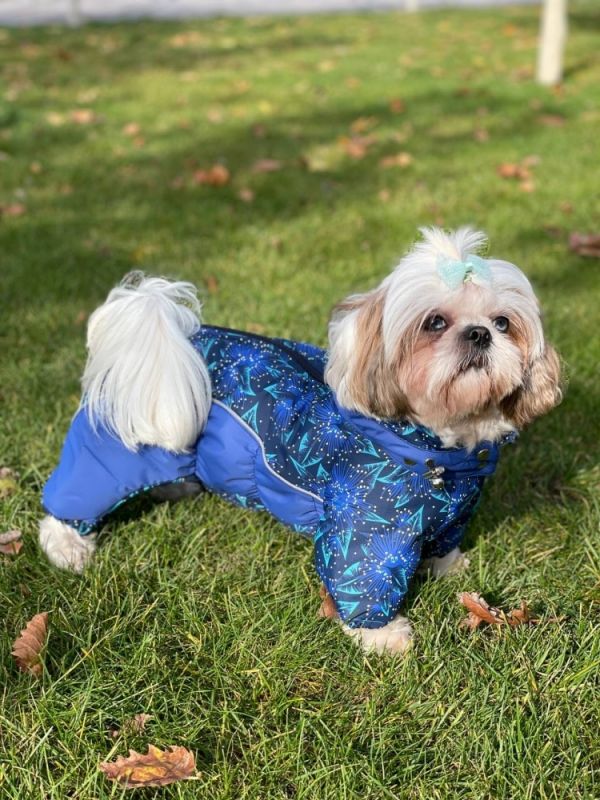 Комбінезон Орхідея силікон (дівчинка) XS