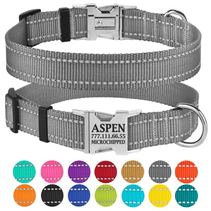 Нашийник для собак BronzeDog 16 мм (25-33 см) Сірий Металевий фастекс 1311 32Т 