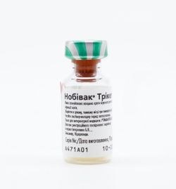 Нобівак Трікет тріо, вакцина для кішок, Intervet (без розчинника) Набивак Трікет тріо, Intervet