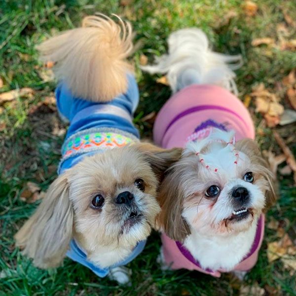 Комбінезон Барбі трикотаж на флісі (дівчинка) М