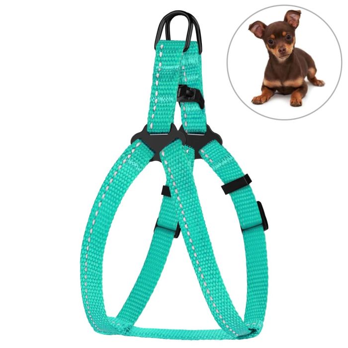 Шлея для собак BronzeDog ментолова пластиковий фастекс 1308 68Т 10мм (24-30см)