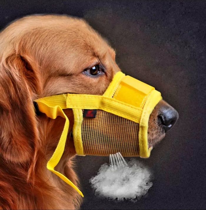 Намордник для собак з сіткою XL-22-28 см