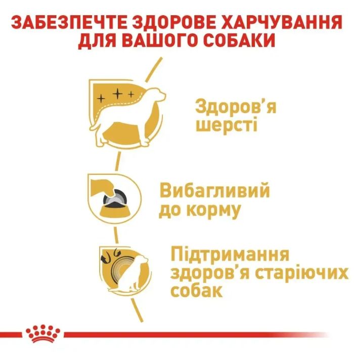 АКЦІЯ Royal Canin Yorkshire Terrier Adult набір корму для собак йоркширський терєр 1,5 кг+ 4 паучі 