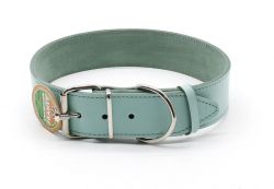 Нашийник Franty Style шкіра 40 мм х 56-66 см аквамарин