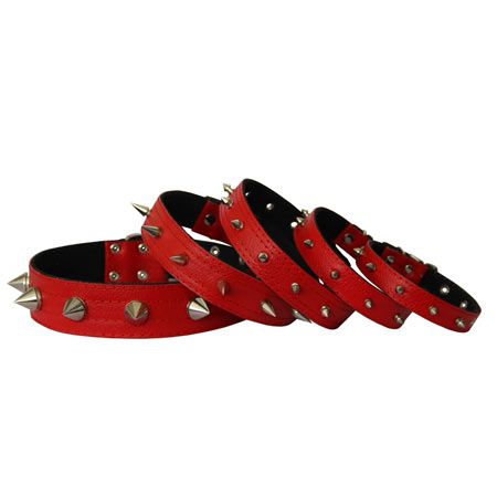 Нашийник для собак з шипами, червоний 48-65 см
